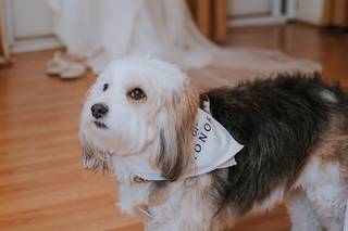 Emma Gibbs Photography - 12