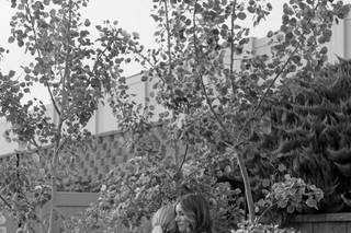 Jamie Tobin Photography - 5