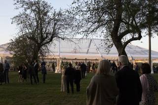 Sugarplum Tent Company - 11