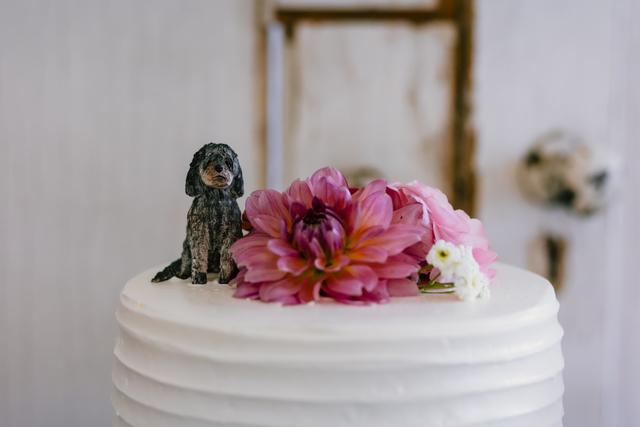 Erica Mueller Photography - 1