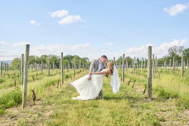 Faithbrooke Barn and Vineyards - 4