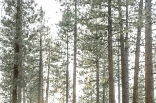 Corey Fox Photography - 12
