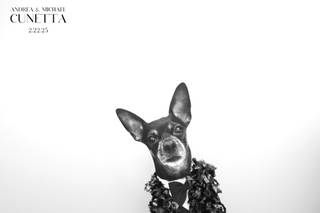 Dipp Photobooth - 8