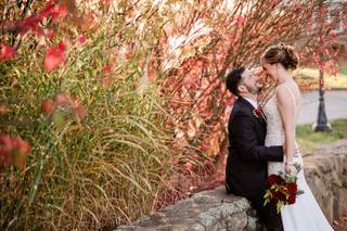 Anthony Niccoli Photography - 8