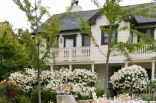 Alyssa Bray Events - 33