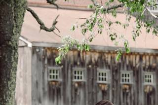 Sabrina Scolari Photography - 7