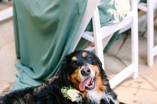 Jake and Necia Photography - 5