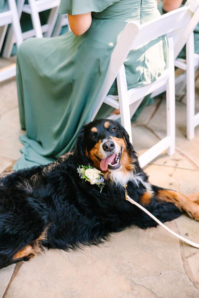 Jake and Necia Photography - 2