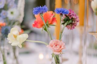 Flowers From the Farm, NJ - 8