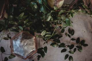 Forest Flowers - 54