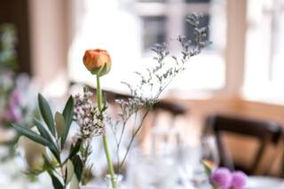 Violette's Flowers - 8