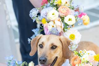 Abbe Foreman Photography - 6
