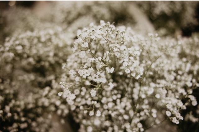 Milwood Florist & Nursery - 3