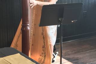 Brittany Burns, Harpist - 8