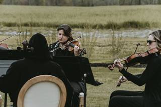 Pizzicatomus String Quartet - 4