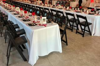 Tiana Snow Electric & Acoustic Violinist in Las Vegas - 5