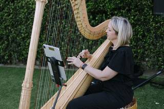 Harpist, Erica Powell - 1