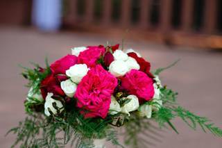 Golden Pear Flowers - 15