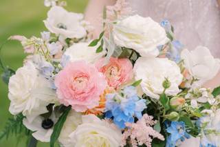 The Pink Poppy - 14