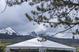 Green Lily Events - 6