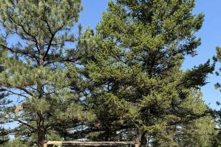 Summer Star Ranch - 24