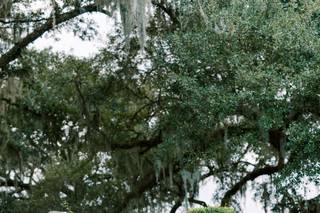 Gown Boutique of Charleston - 29