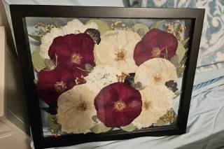 White Poppy Preservation - 22
