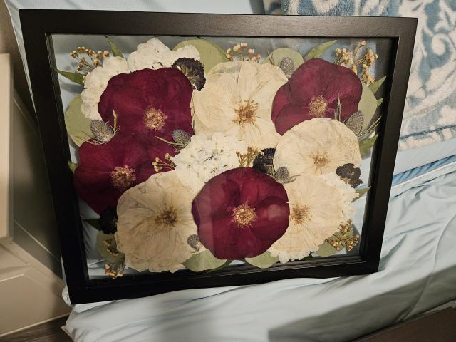 White Poppy Preservation - 1
