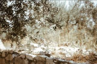 {Crete for Love} - 126