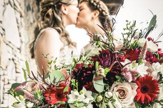 Laurel Mountain Photography - 16
