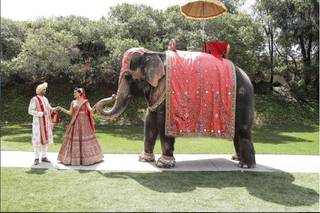 Elegant Events by Nutan - 29