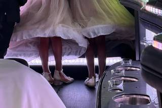 Michael's Limousine Co., Inc. - 6