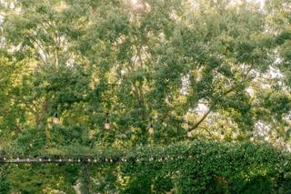 Ooh La La Weddings & Events - 7
