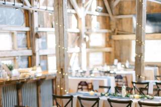 Willow Spring Vineyards - 5