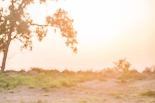 Lillie Mae Photography - 13