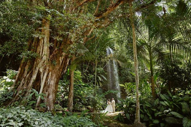 Kauai Wedding Officiant - 4