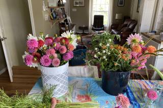 Butterbee Farm - 10