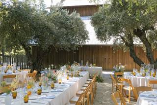 Lauren Miller Events - 6
