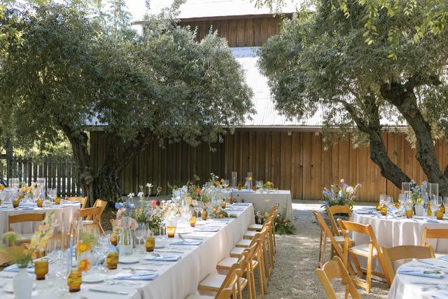 Lauren Miller Events - 3
