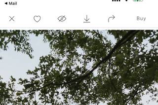 photos by mb - 33