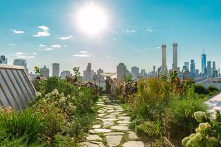 Brooklyn Grange - 5