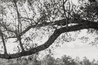 Annie Darr Photo + Film - 10