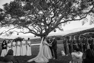 Shem Roose Imagery - 13