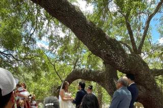A Lovely Engagement - 25