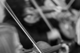 J&K Strings - 5