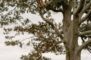 Paperbird Photography - 25