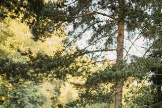 Allison Lauryn Photography - 67