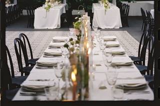 BearFly Designs - 6