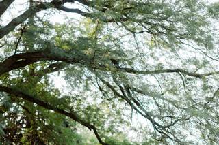 Jeff Sampson Photography - 5