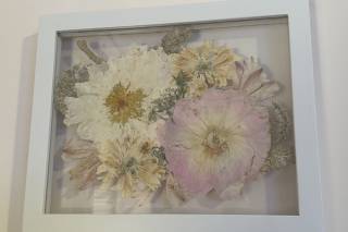 White Poppy Preservation - 16